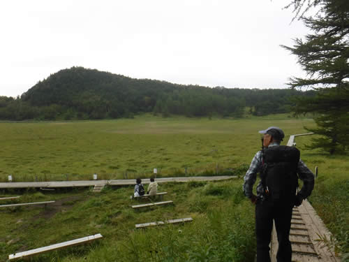 池の平湿原