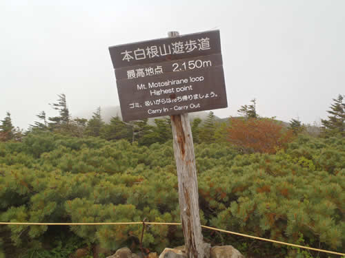 草津白根山