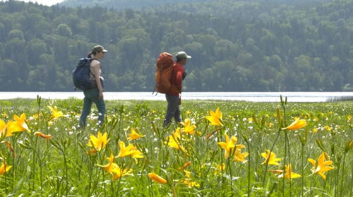 にっぽん百名山尾瀬