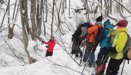 スノーシューガイド